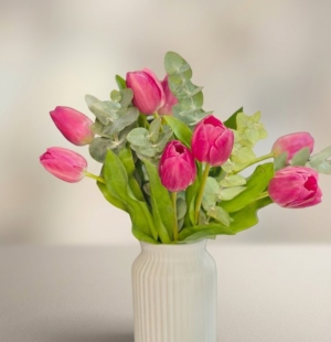 Tulipanes rosa